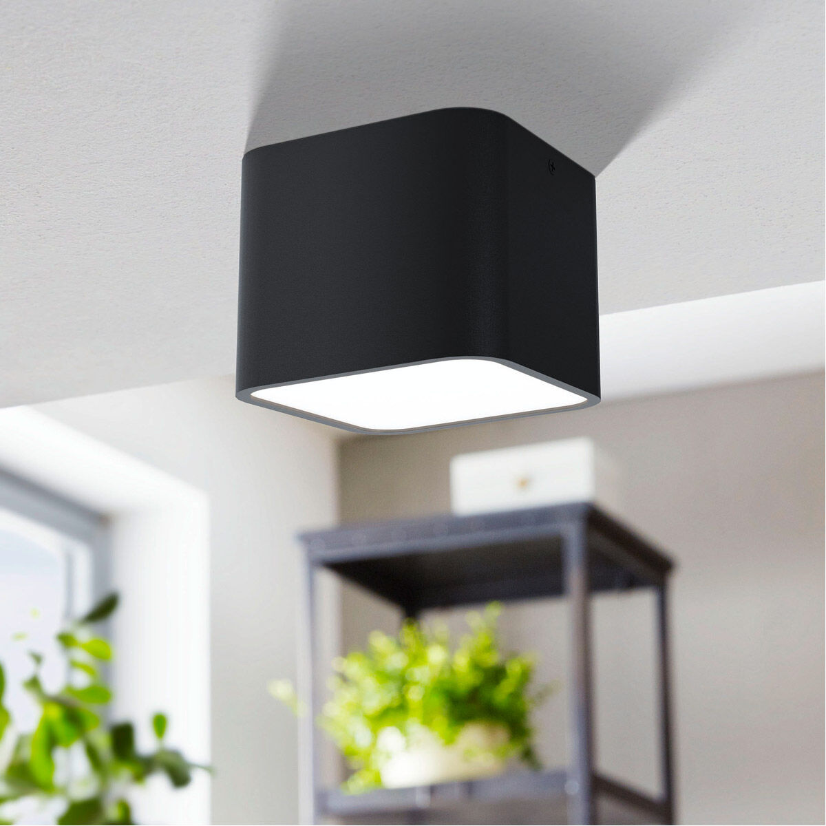 Grimasola 1 Light 5.5 inch Black Flush Mount Ceiling Light