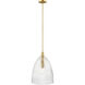 Transitional 1 Light 14 inch Natural Brass Pendant Ceiling Light