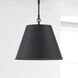 Alden 1 Light 12 inch Matte Black Pendant Ceiling Light, Essentials