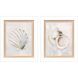 Serenity Shells Blue and Neutral Framed Art, Propac
