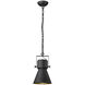 Crew 1 Light 17 inch Matte Black Pendant Ceiling Light