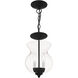 Heritage 2 Light 8 inch Black Convertible Mini Pendant/Ceiling Mount Ceiling Light