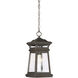 Taylor 1 Light 8 inch English Bronze with Gold Outdoor Hanging Lantern