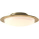 Oceanus 2 Light 16.5 inch Modern Brass Semi-Flush Ceiling Light