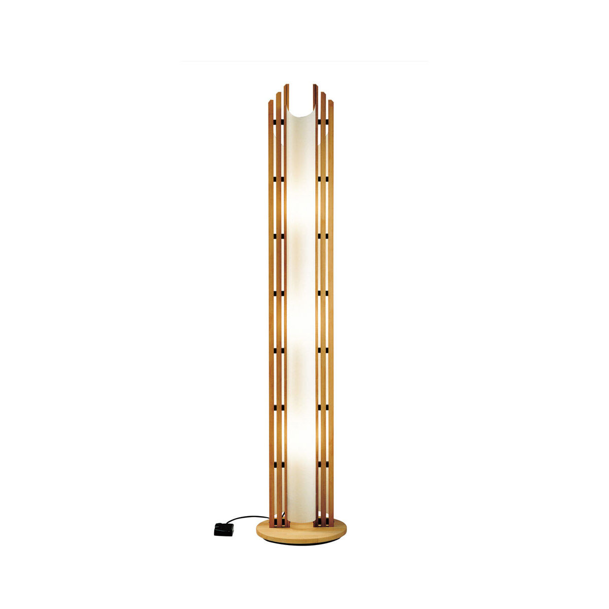 Domus 69 inch 60 watt Floor Lamp Portable Light
