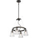 Graham Avenue 4 Light Smoked Iron/Brushed Nickel Chandelier Ceiling Light