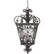Fort Quinn 4 Light 19 inch Marcado Black Outdoor Hanging Lantern