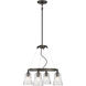 Graham Avenue 4 Light Smoked Iron/Brushed Nickel Chandelier Ceiling Light