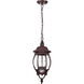 Central Park 3 Light 7 inch Old Bronze Outdoor Hanging Lantern