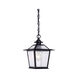 Salem 1 Light 8 inch Matte Black Exterior Hanging Lantern