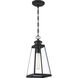 Paxton 1 Light 7 inch Matte Black Outdoor Hanging Lantern