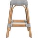 Robias Rectangular Rattan 24.5" Counter Stool in White and Gray Dot