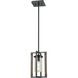 Okanagan 1 Light 6.5 inch Graphite and Ironwood on Metal Mini-pendant Ceiling Light