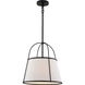 Marion 1 Light 15 inch Matte Black Pendant Ceiling Light