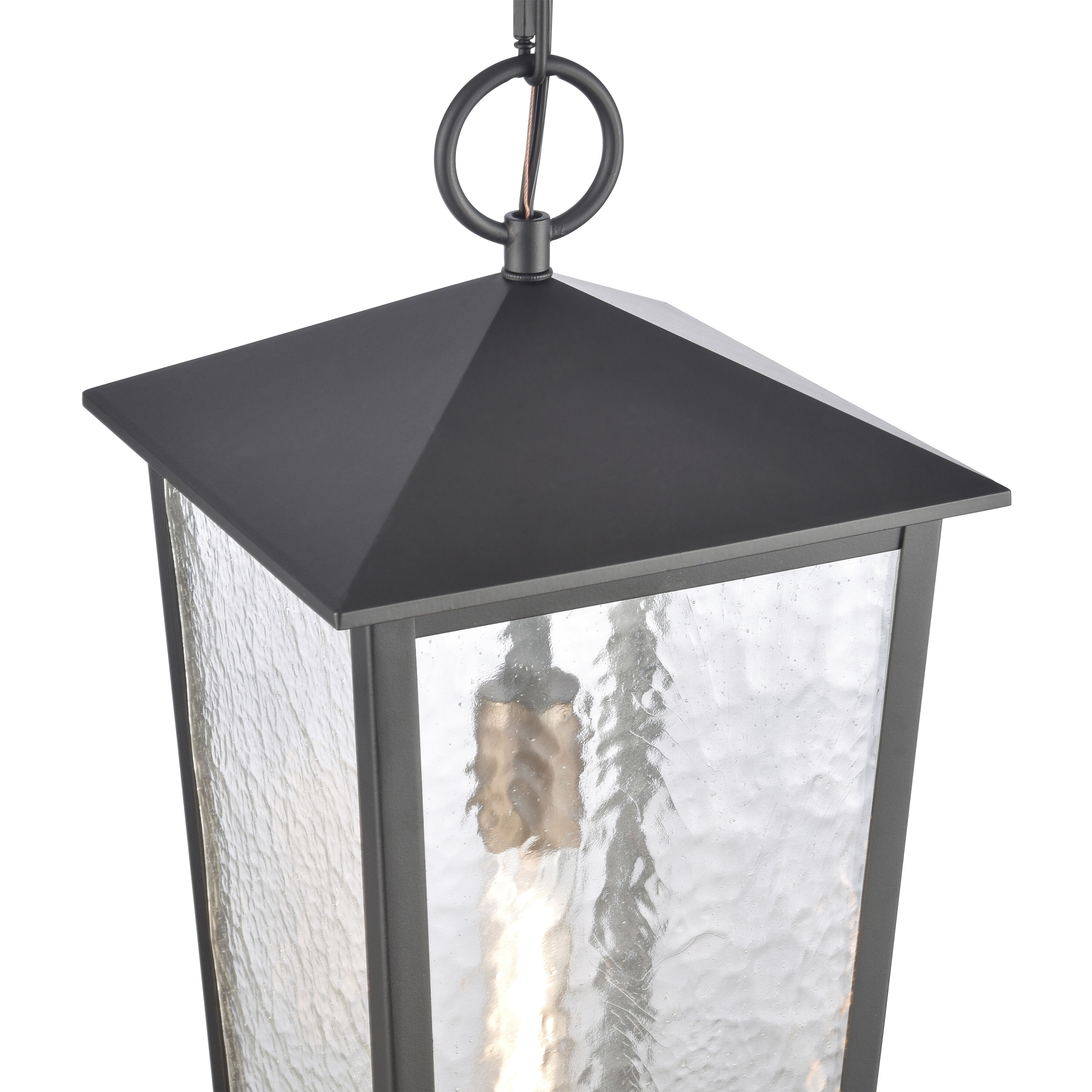 Marquis 1 Light 9 inch Matte Black with Chemical Oz and Clear Outdoor Pendant