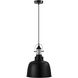 Gilwell 1 Light 9.84 inch Matte Black and Chrome Pendant Ceiling Light