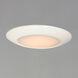 Diverse LED LED 11 inch White Flush Mount Ceiling Light