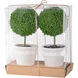 Mini Faux Green Topiaries