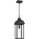 Madrid 1 Light 8 inch Black Outdoor Pendant