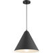 Ford 1 Light 9.5 inch Matte Black Pendant Ceiling Light