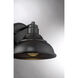 Dunston DS Outdoor Wall Lantern
