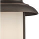 Bethany LED 10 inch Mahogany Bronze Outdoor Hanging Light