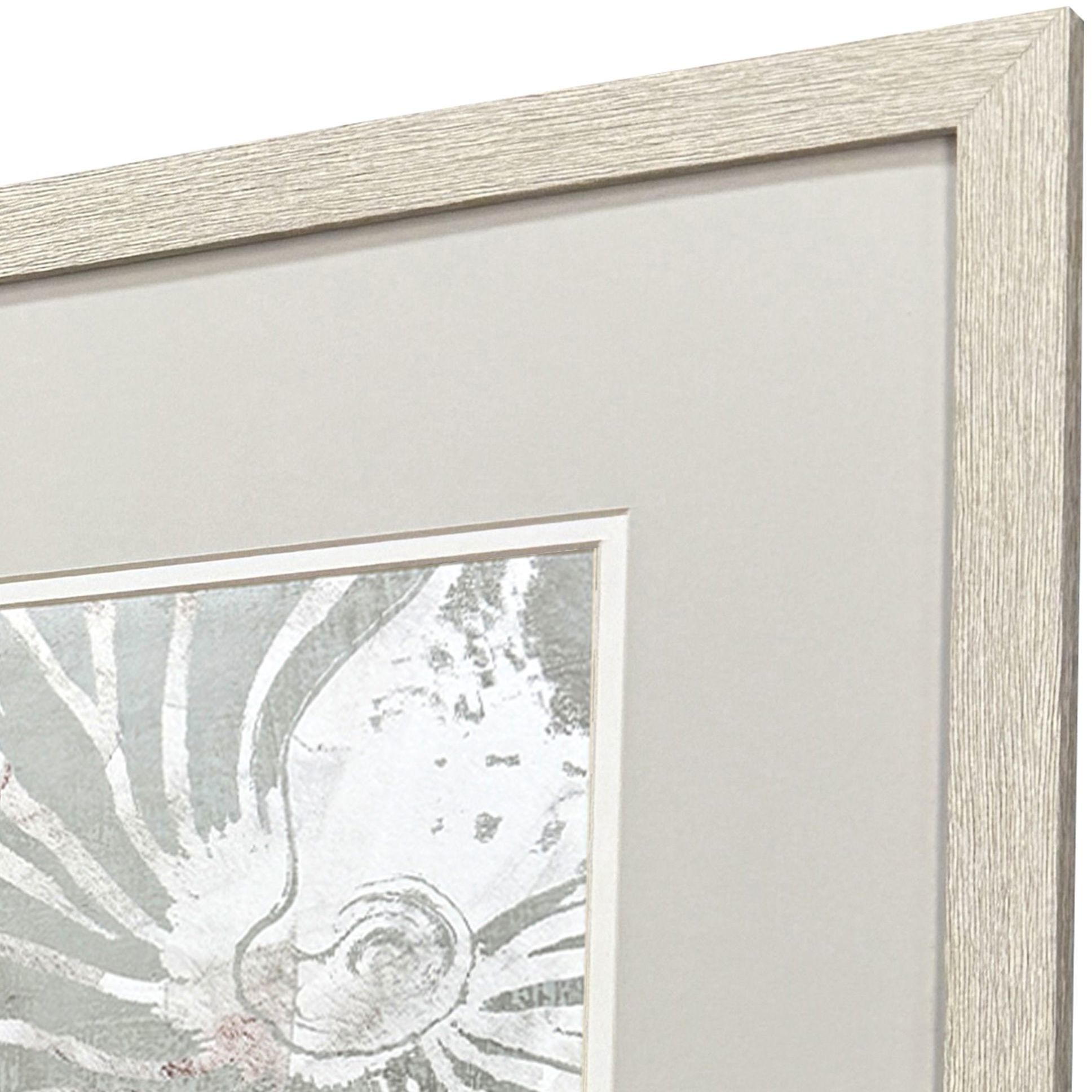Nautilus Shell Green and Gray Framed Art, Propac