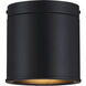 Fleur Oasis LED 6 inch Matte Black Flush Mount Ceiling Light