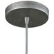 Pleasant Fields 1 Light 14 inch Weathered Gray with Graphite Pendant Ceiling Light