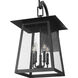 Rainer Outdoor Wall Light in Black, G9