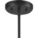 Delphine 10 Light 33 inch Oil Rubbed Bronze Chandelier Ceiling Light