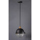 Portside 1 Light 12 inch Oil Rubbed Bronze/Antique Brass Outdoor Pendant