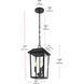 Riggs 3 Light 8 inch Black Outdoor Pendant