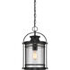Booker 1 Light 11 inch Mystic Black Hanging Lantern Ceiling Light