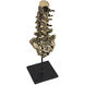 Vertebrae Brass Decor Accessory