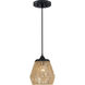 Romain 1 Light 9 inch Earth Black Mini Pendant Ceiling Light 