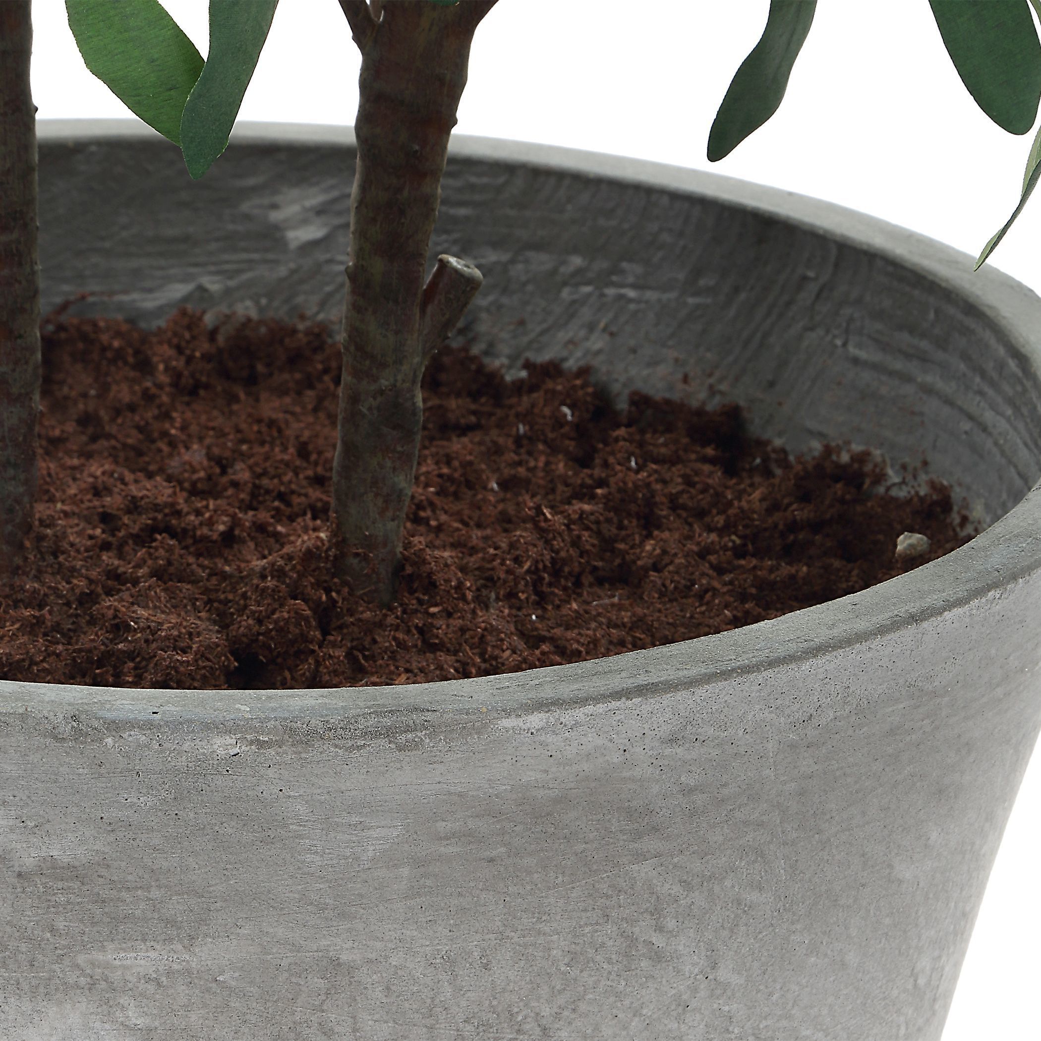 Marisol Stone Gray and Green Potted Olive Plant