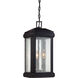 Trumbull 3 Light 8.5 inch Mystic Black Outdoor Hanging