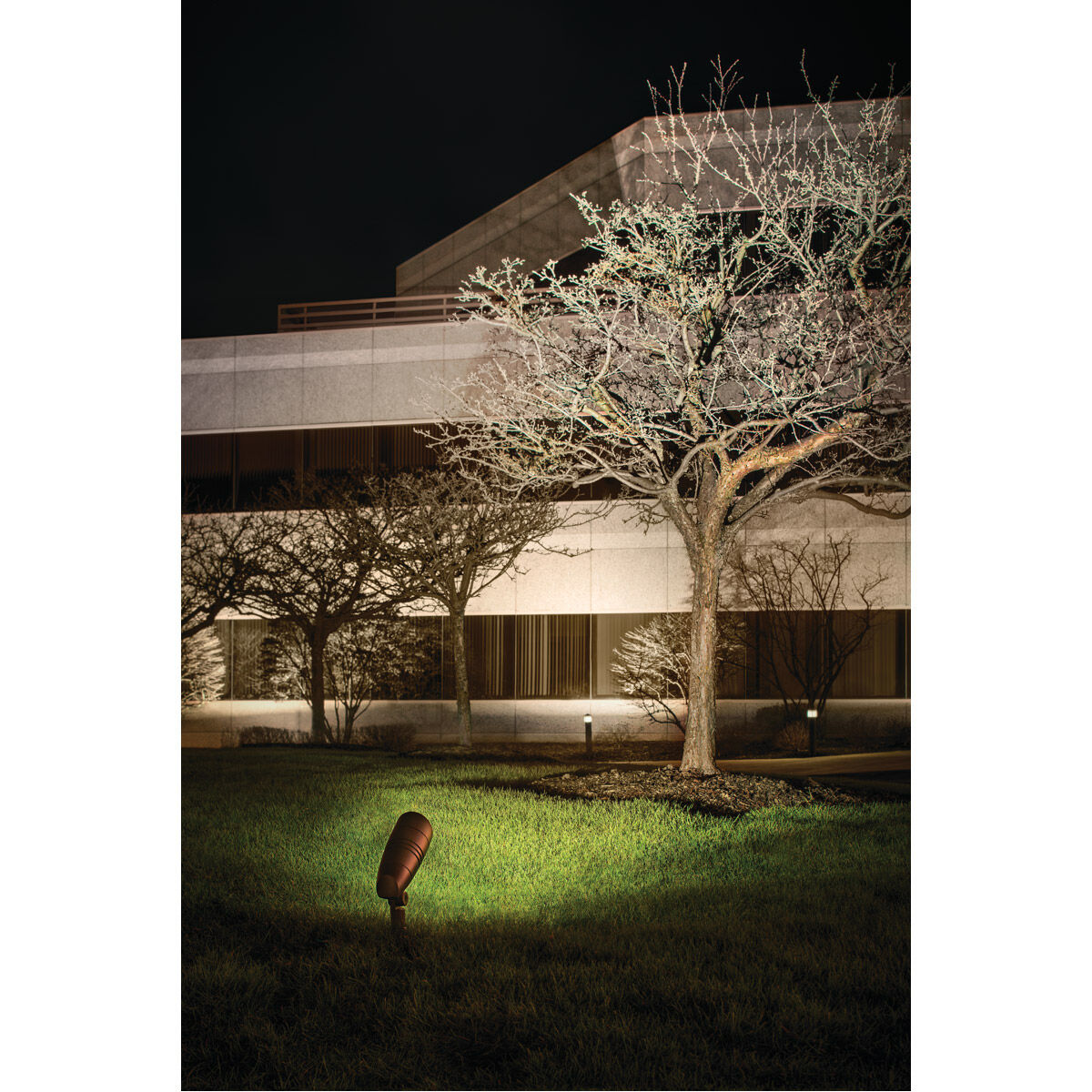 Landscape LED 120 21.00 watt Textured Architectural Bronze Landscape 120V-277V LED Accent in 3000K