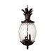 Lanai 3 Light 9.5 inch Black Coral Exterior Hanging Lantern