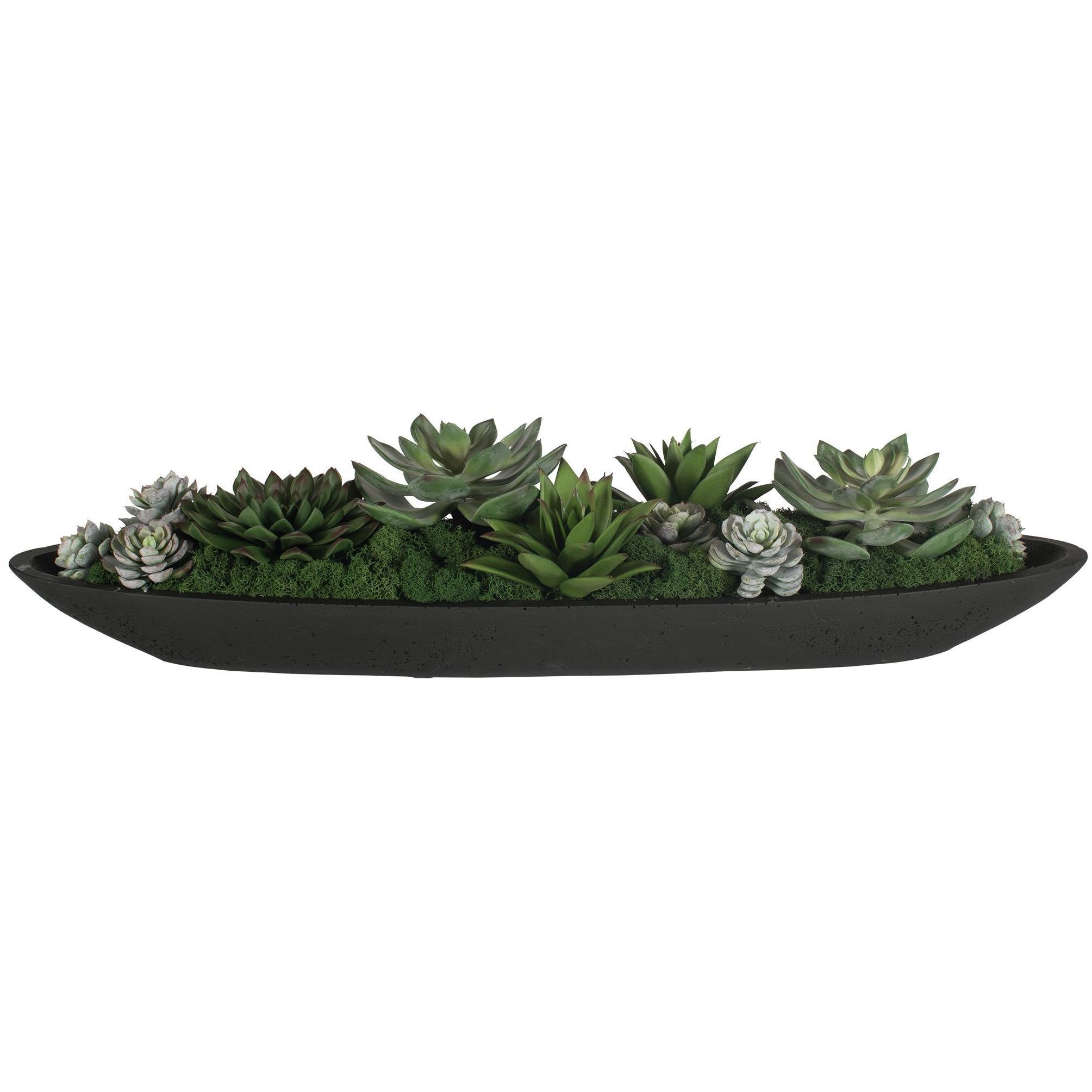 Verde Succulent Black and Green Centerpiece In Bowl