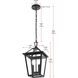 Frankford 2 Light 10 inch Black Outdoor Pendant