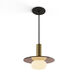 Combi LED 9 inch Brass Pendant Ceiling Light, Suspension / Flush Mount 2-in-1