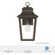 Spring Cove 1 Light 15 inch Matte Bronze Outdoor Wall Lantern, Medium