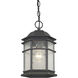 Barlow 1 Light 8 inch Winchester Outdoor Hanging Lantern