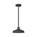 Foundry Classic 1 Light 12 inch Textured Black Outdoor Hanging Barn Light