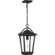 Darius 1 Light 11 inch Earth Black Outdoor Hanging Lantern