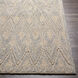 Newcastle 72 X 48 inch Taupe Rug in 4 X 6, Rectangle