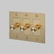 3G 100-120 Brass Dimmer Switch, LED