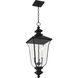 Farley 3 Light 9.75 inch Matte Black Outdoor Hanging Lantern